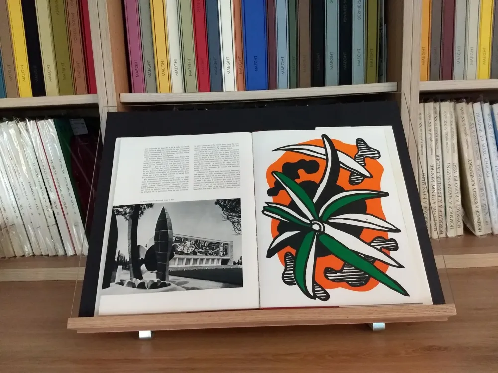 Иллюстрированная Книга Leger - Hommage