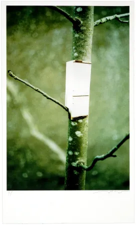 Цифровой Эстамп Leick - Greffes et greffons I