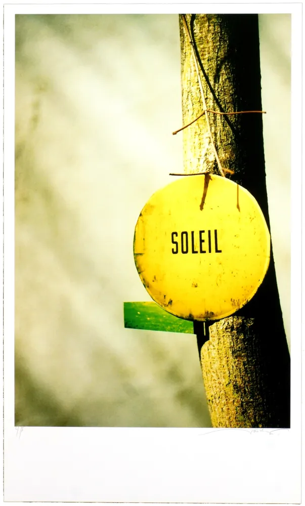 Цифровой Эстамп Leick - Greffes et greffons, II