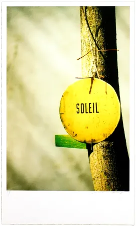 Цифровой Эстамп Leick - Greffes et greffons, II