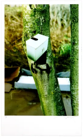 Цифровой Эстамп Leick - Greffes et greffons III