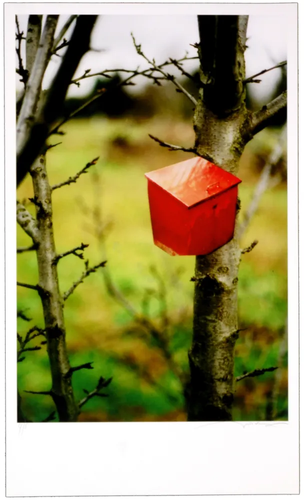 Цифровой Эстамп Leick - Greffes et greffons IV