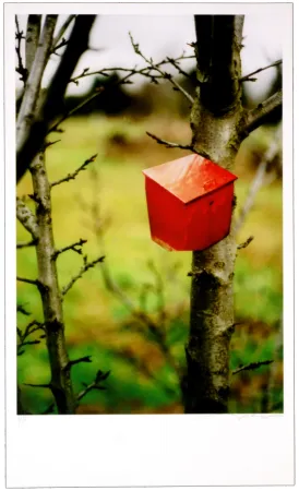 Цифровой Эстамп Leick - Greffes et greffons IV