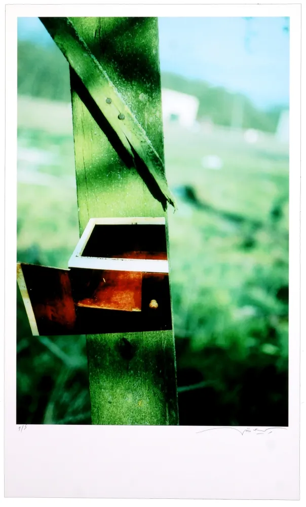 Цифровой Эстамп Leick - Greffes et greffons VI