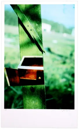 Цифровой Эстамп Leick - Greffes et greffons VI