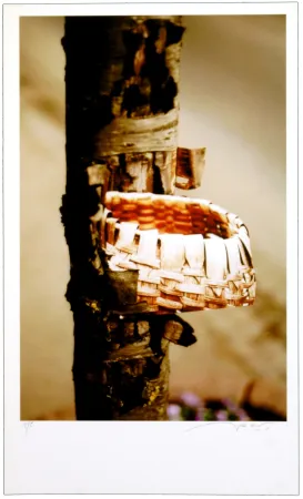 Цифровой Эстамп Leick - Greffes et greffons VIII