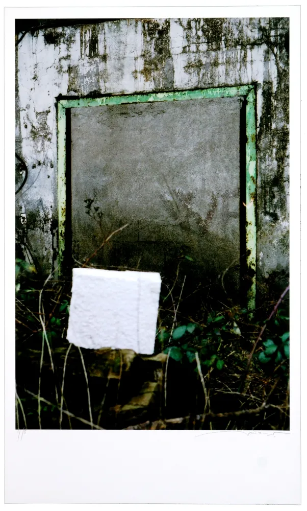 Цифровой Эстамп Leick - Greffes et greffons VIII