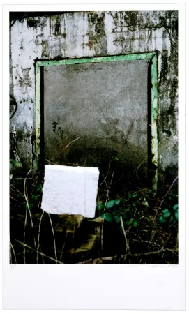 Цифровой Эстамп Leick - Greffes et greffons VIII