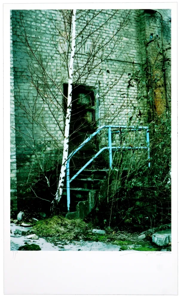 Цифровой Эстамп Leick - La fin d’un monde II