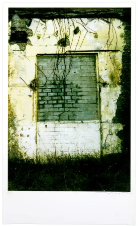 Цифровой Эстамп Leick - La fin d’un monde VII