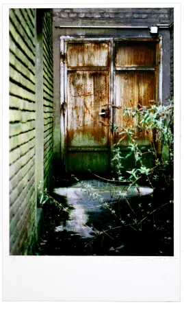 Цифровой Эстамп Leick - La fin d’un monde VIII