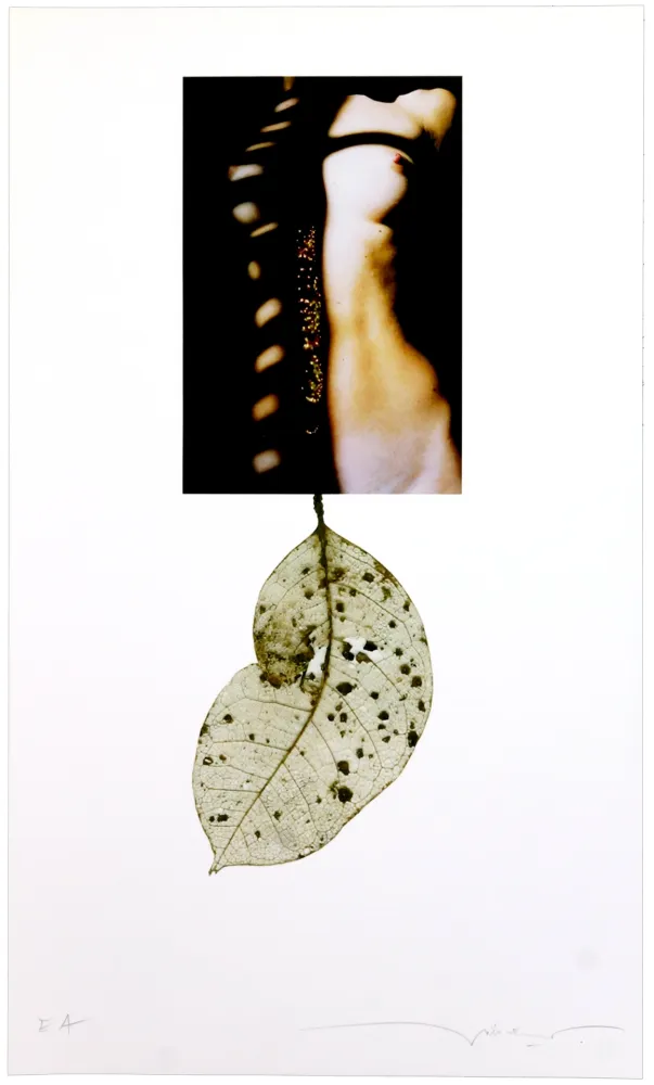 Цифровой Эстамп Leick - Sans titre I