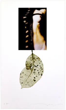 Цифровой Эстамп Leick - Sans titre I