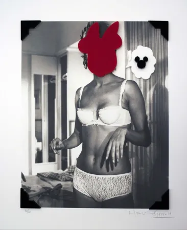 Многоэкземплярное Произведение Leirner - Cada cosa en su sitio 6