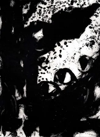 Гравюра León - Luz de luna I