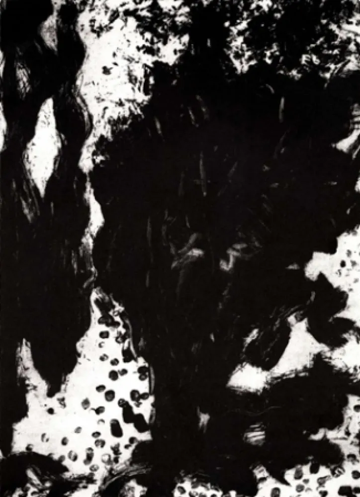 Гравюра León - Luz de luna II