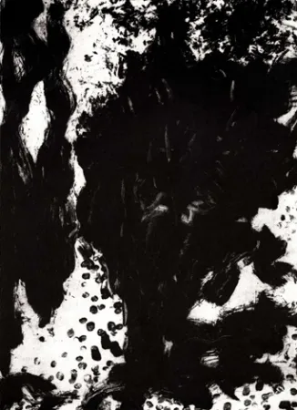 Гравюра León - Luz de luna II