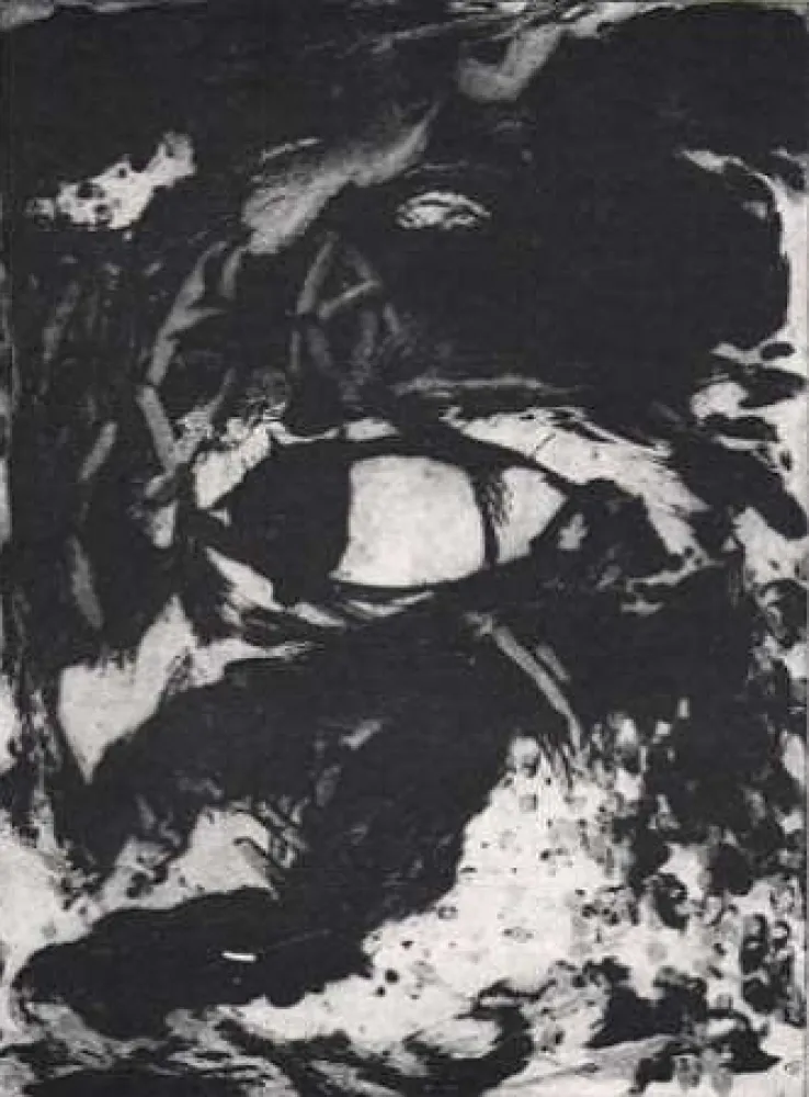 Гравюра León - Luz de luna III