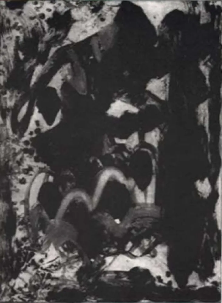 Гравюра León - Luz de luna IV