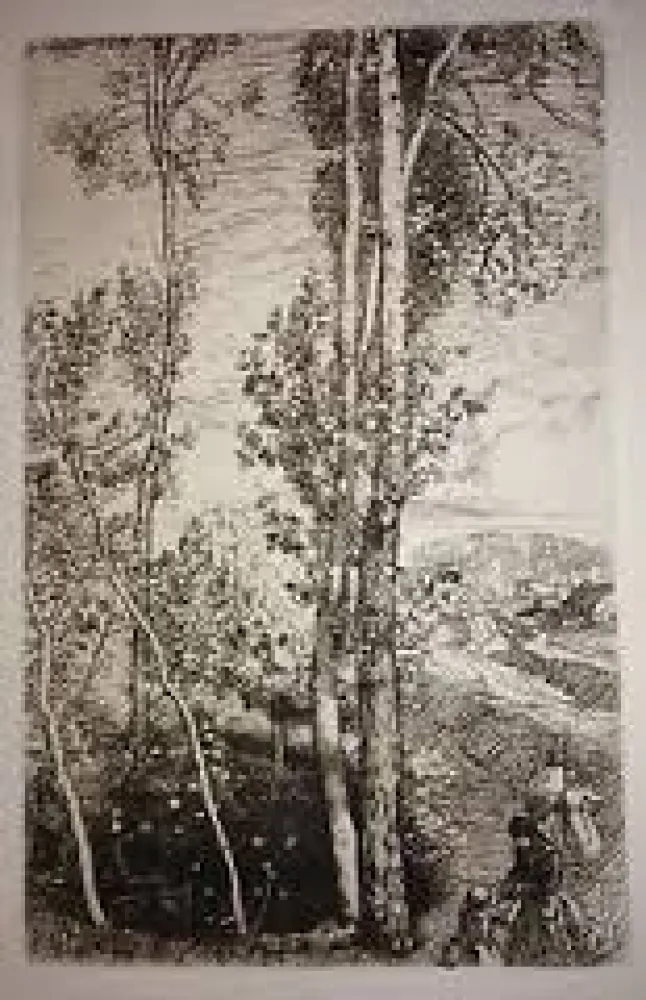 Гравюра Lepere - La petite mare