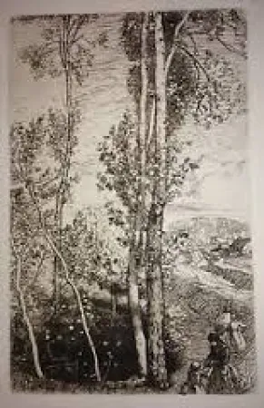 Гравюра Lepere - La petite mare