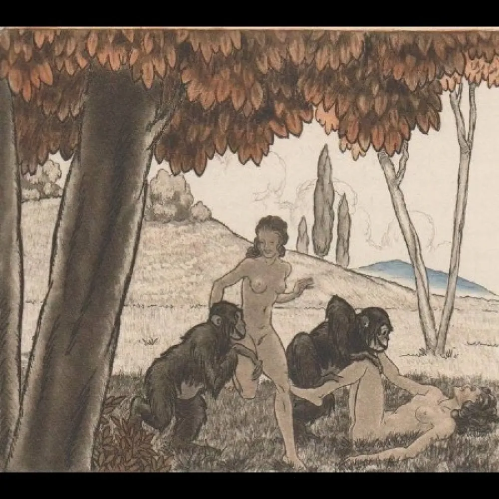 Иллюстрированная Книга Leroy  - Candide, ou l'optimisme