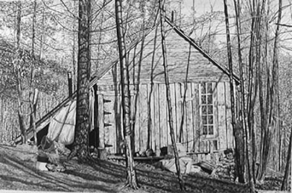 Литография Levine - The Brookwood Cabin