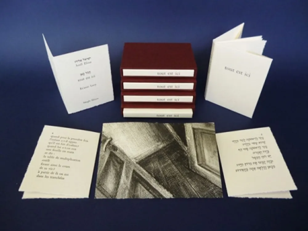 Иллюстрированная Книга Levy - Tout est ici