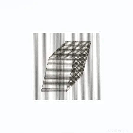 Сериграфия Lewitt - Twelve Forms Derived From a Cube 20