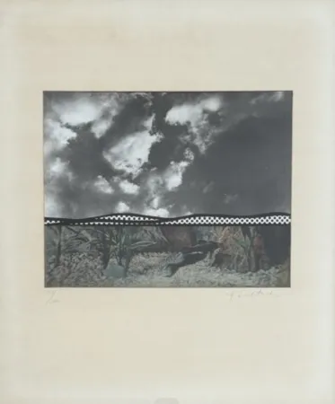 Многоэкземплярное Произведение Lichtenstein - Fish and Sky