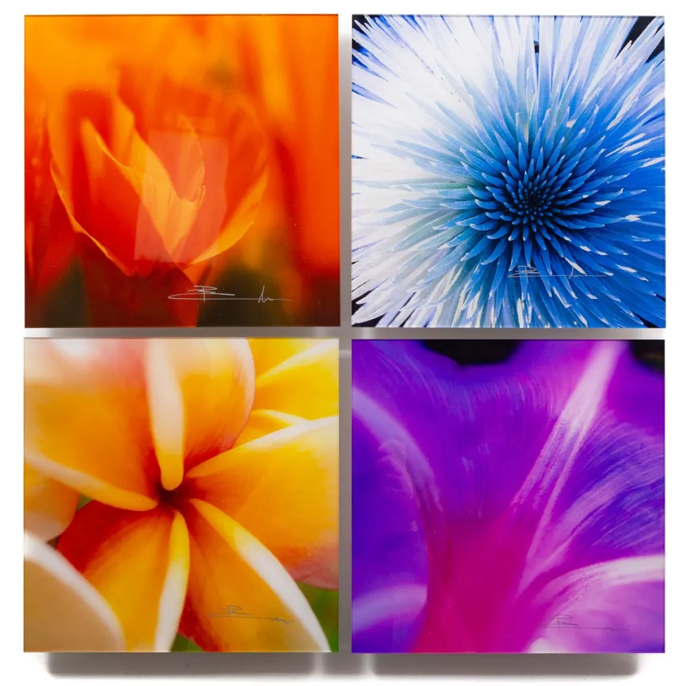 Фотографии Lik - Flowers of Paradise