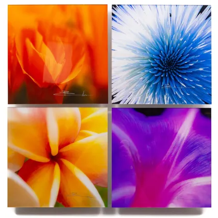 Фотографии Lik - Flowers of Paradise