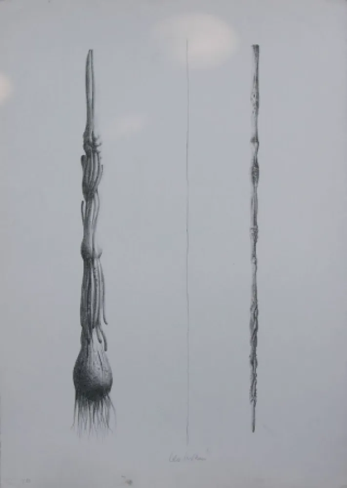 Литография Lionni - Due Solee