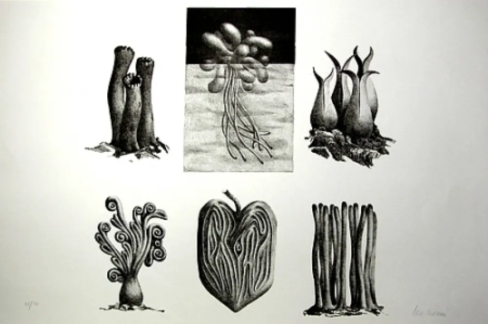 Литография Lionni - Senza titolo