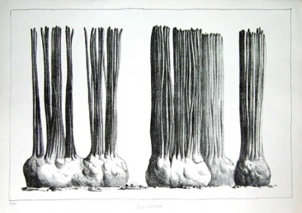 Литография Lionni - Taluma trillosa