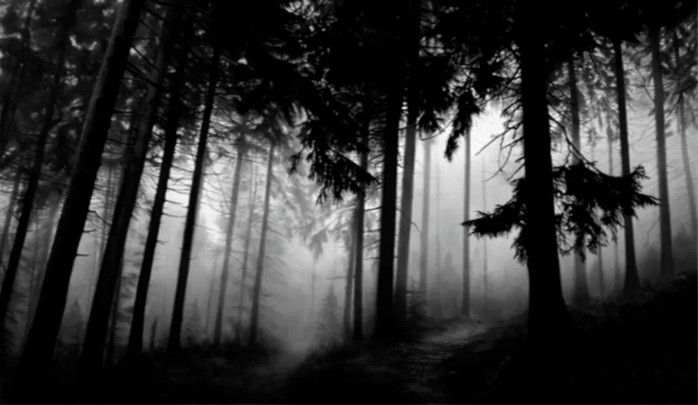 Многоэкземплярное Произведение Longo - Fairmount Forest