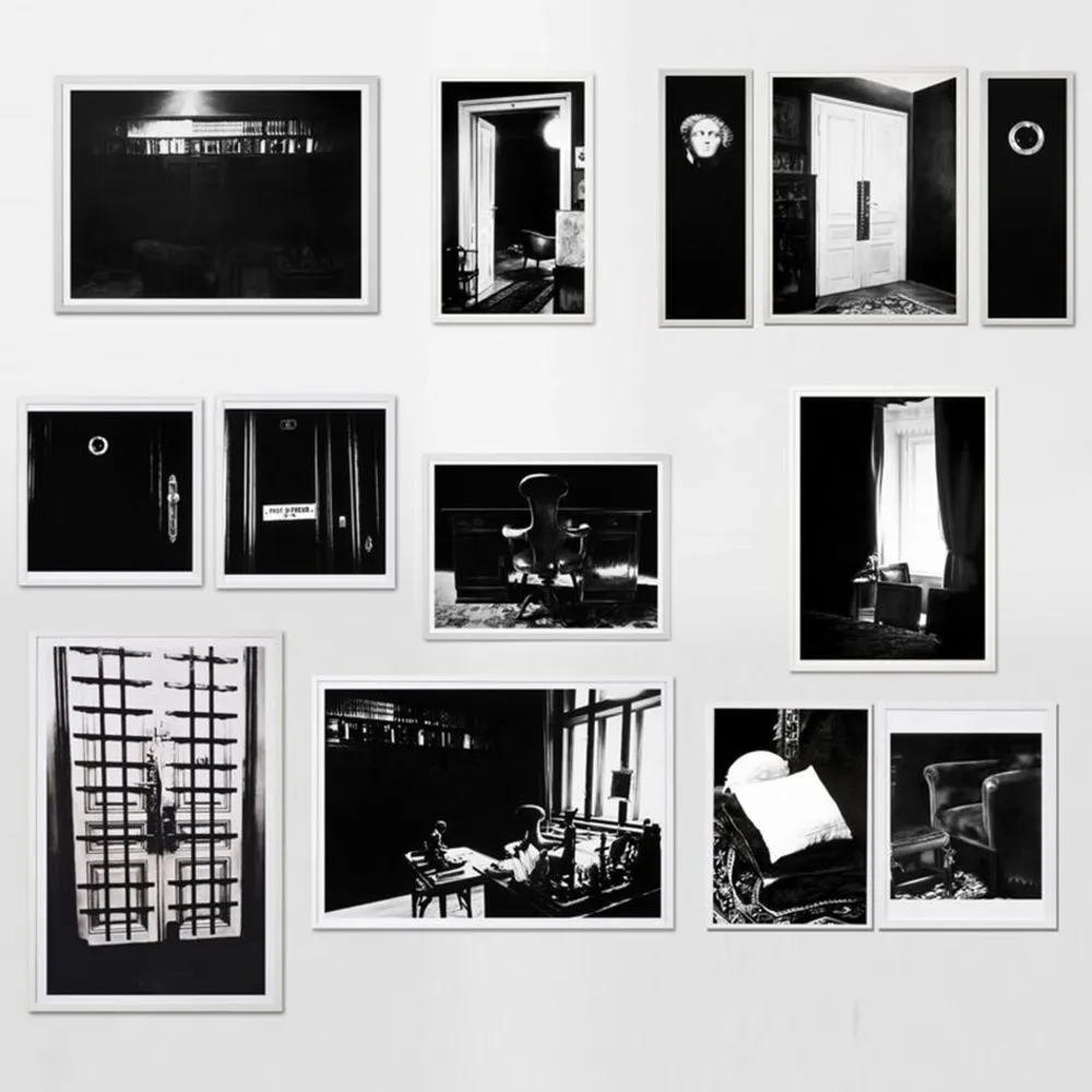 Многоэкземплярное Произведение Longo - The Freud Cycle (portfolio)