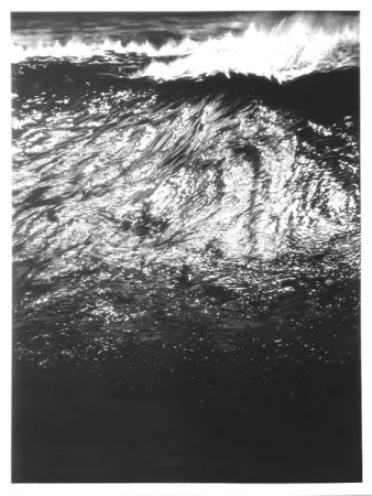 Сериграфия Longo - The Ledge