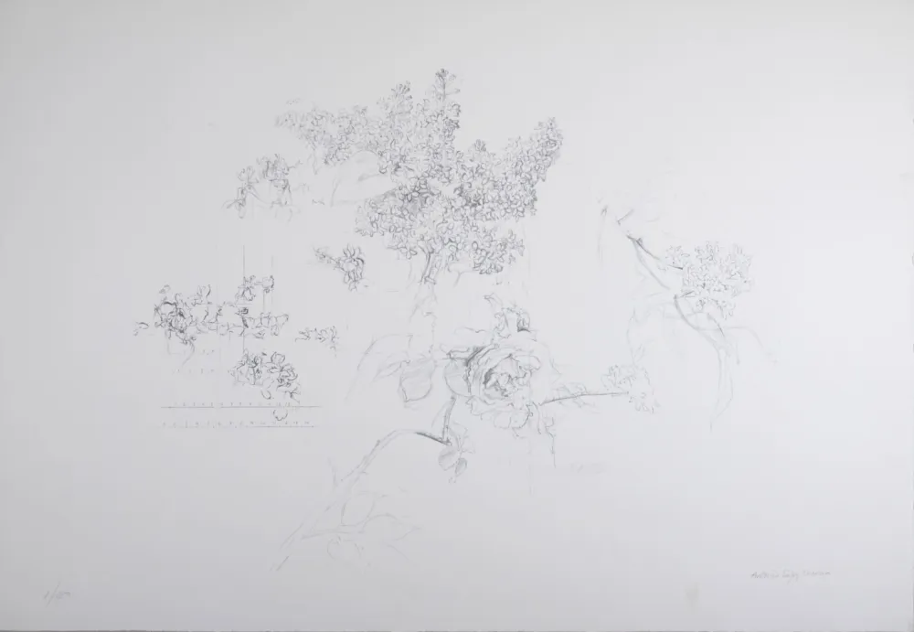 Литография López Garcia - Composition