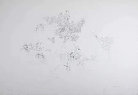 Литография López Garcia - Composition