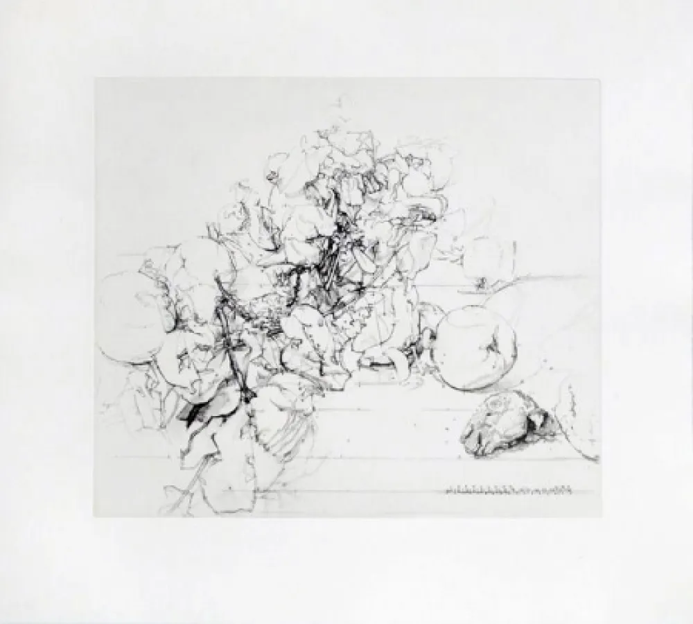 Офорт И Аквитанта López Garcia - Membrillos, granadas y cabeza de conejo