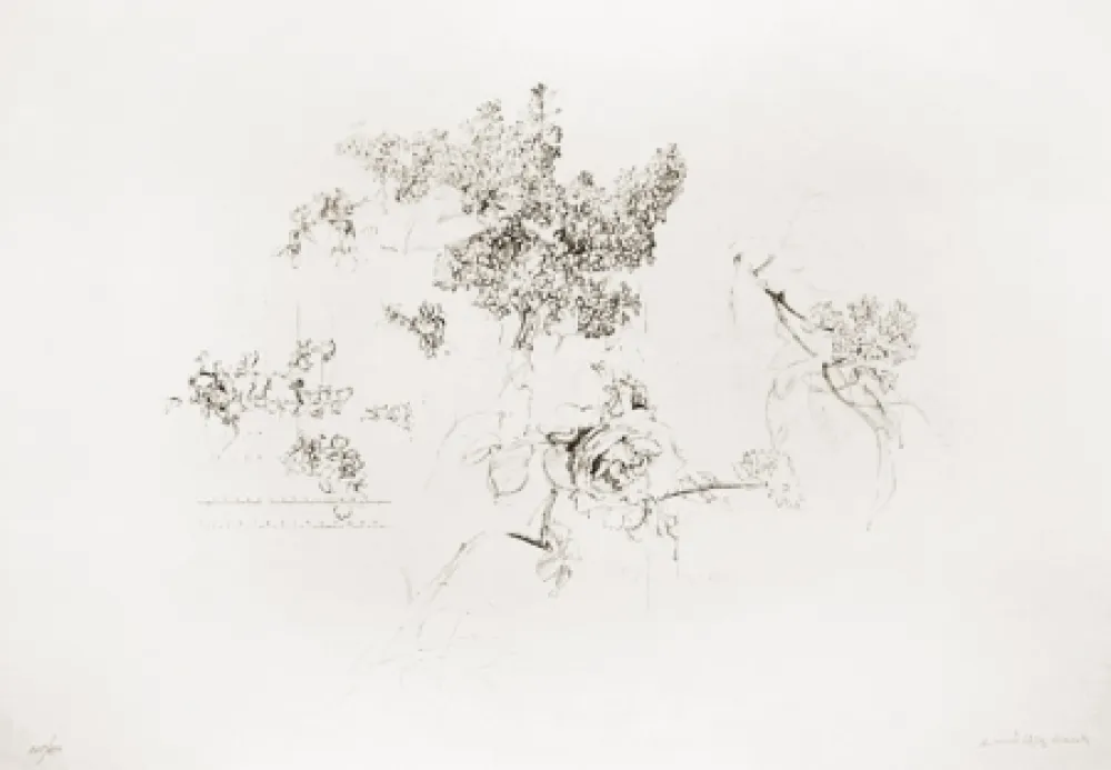 Литография López Garcia - Olympic Centennial