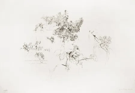 Литография López Garcia - Olympic Centennial