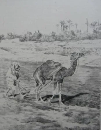 Литография Lunois - Laboureur du Kef