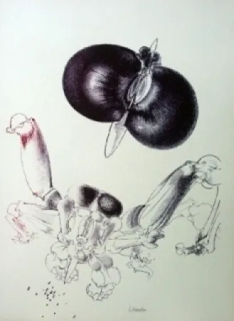 Литография Lunven - Sans titre