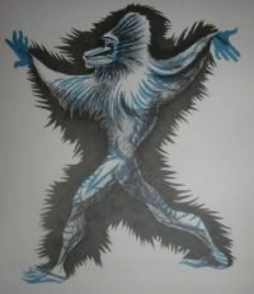 Иллюстрированная Книга Lurcat - Géographie animale