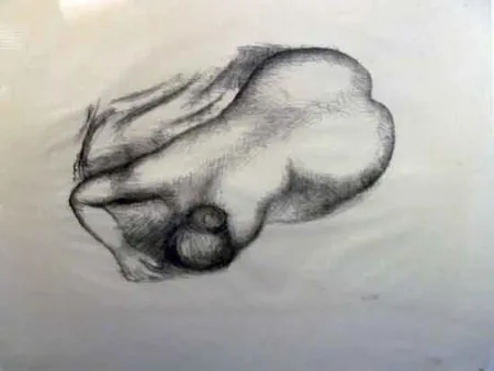 Литография Maillol - Torso