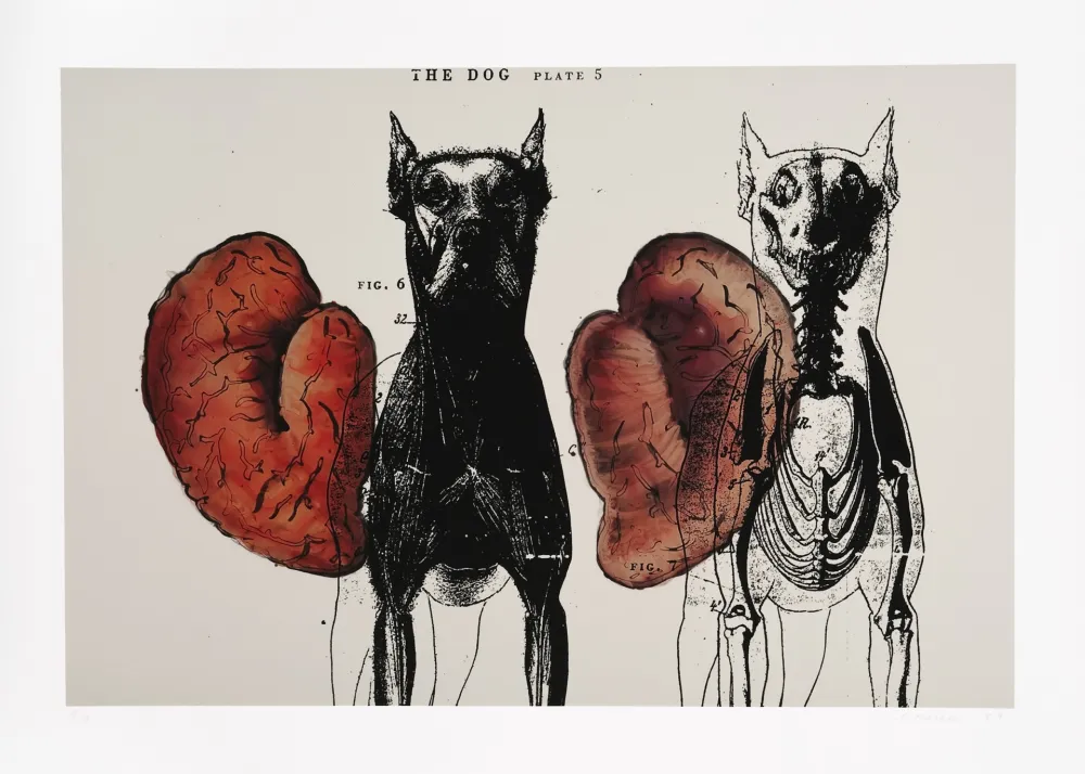 Цифровой Эстамп Malani - Stress of recall (The)