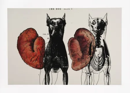 Цифровой Эстамп Malani - Stress of recall (The)