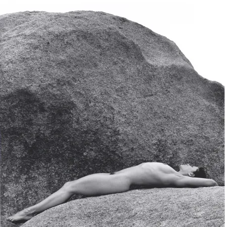 Фотографии Mapplethorpe - Lisa Lyon 01